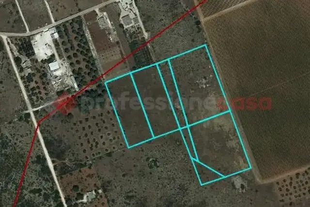 main planimetry real estate image