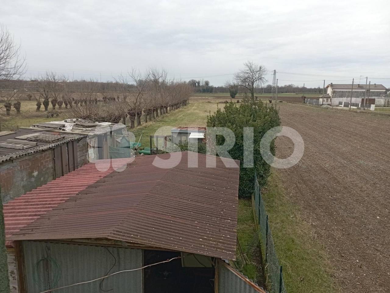 immagine annuncio 3 di 8