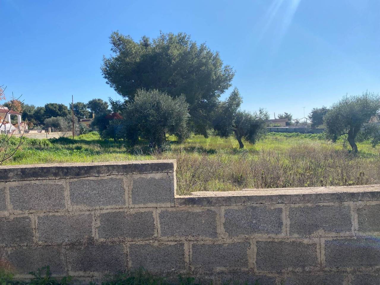 immagine annuncio 4 di 6