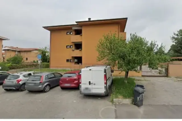 insertion image
