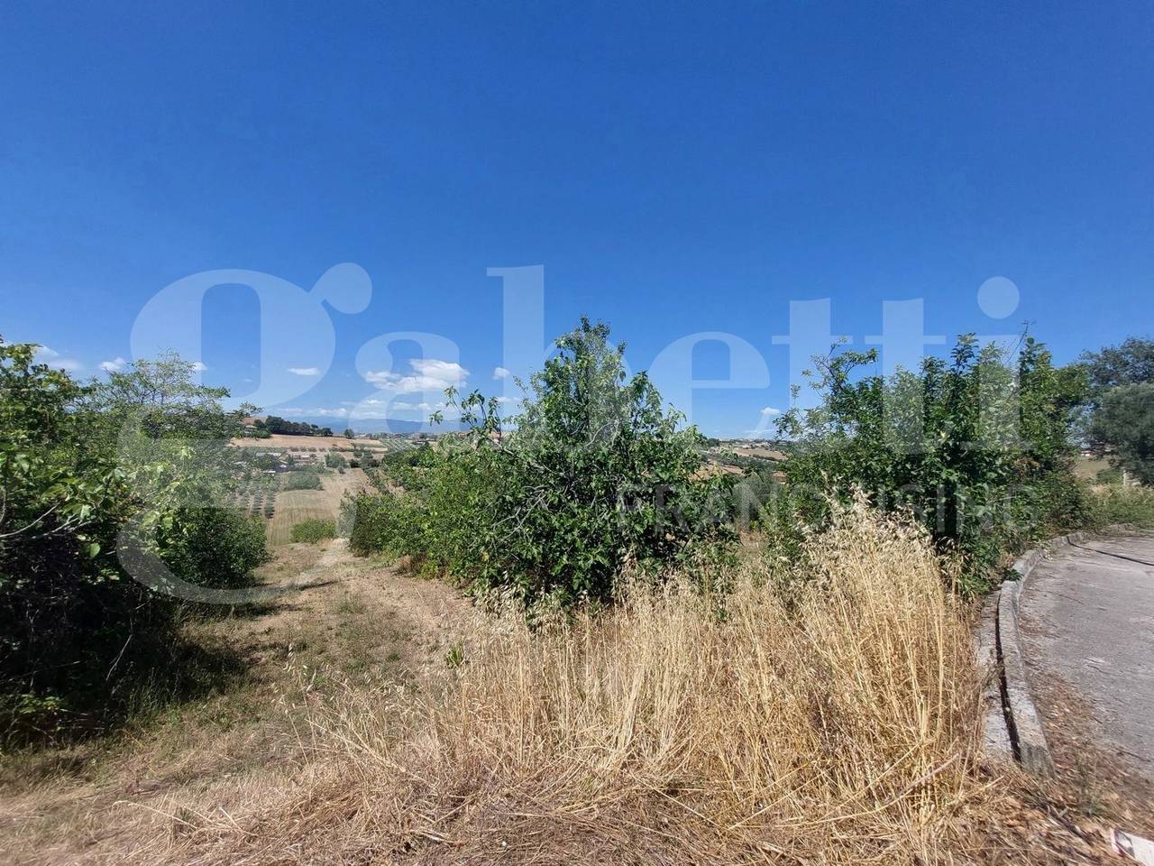 immagine annuncio 3 di 4