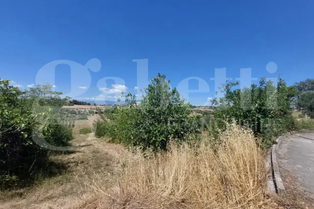 insertion image
