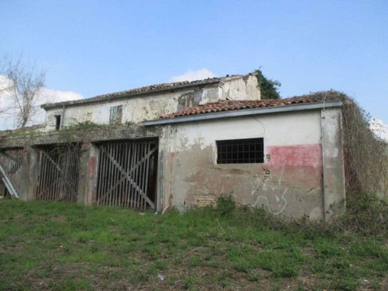 immagine annuncio 5 di 8