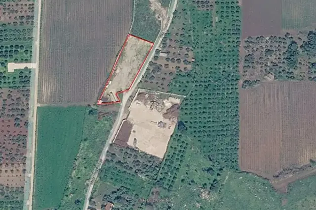 insertion image