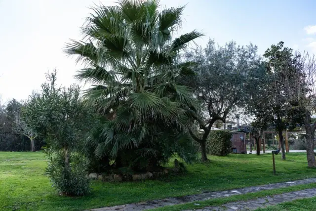 Einfamilienhaus in S 56122, Pisa - Foto 1