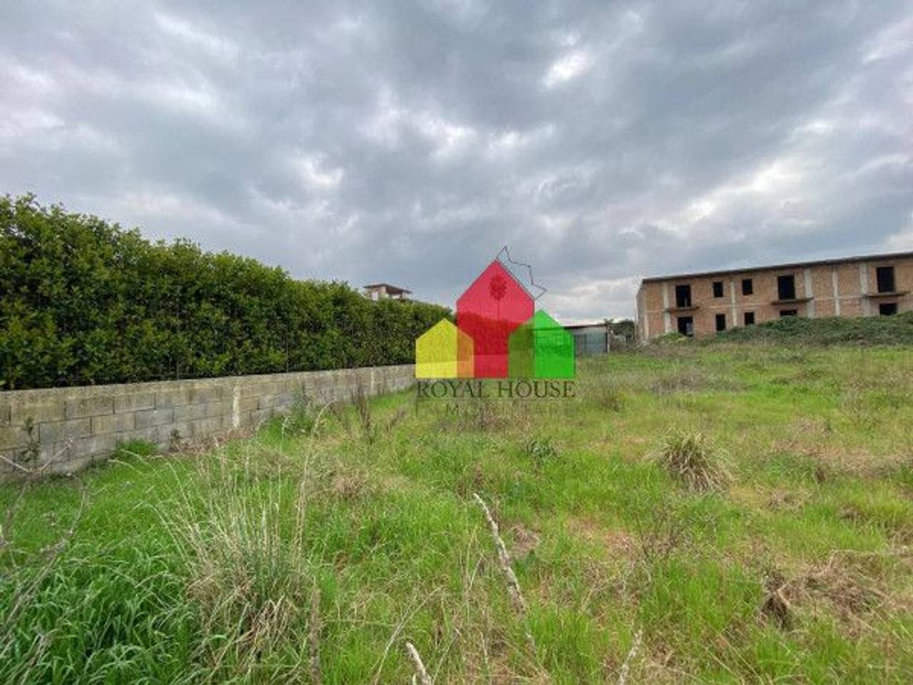 immagine annuncio 11 di 13