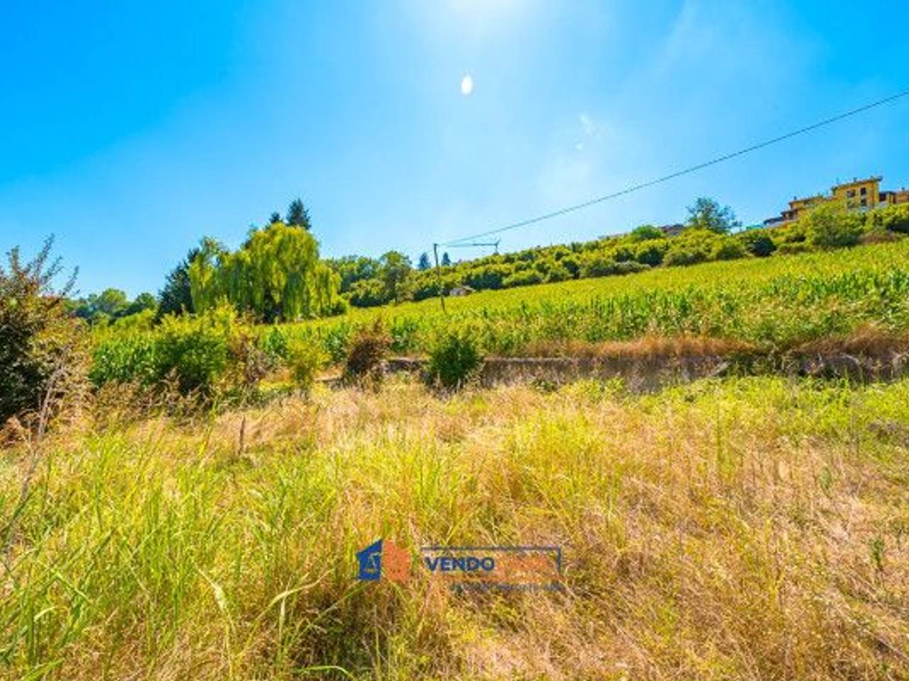 immagine annuncio 12 di 14