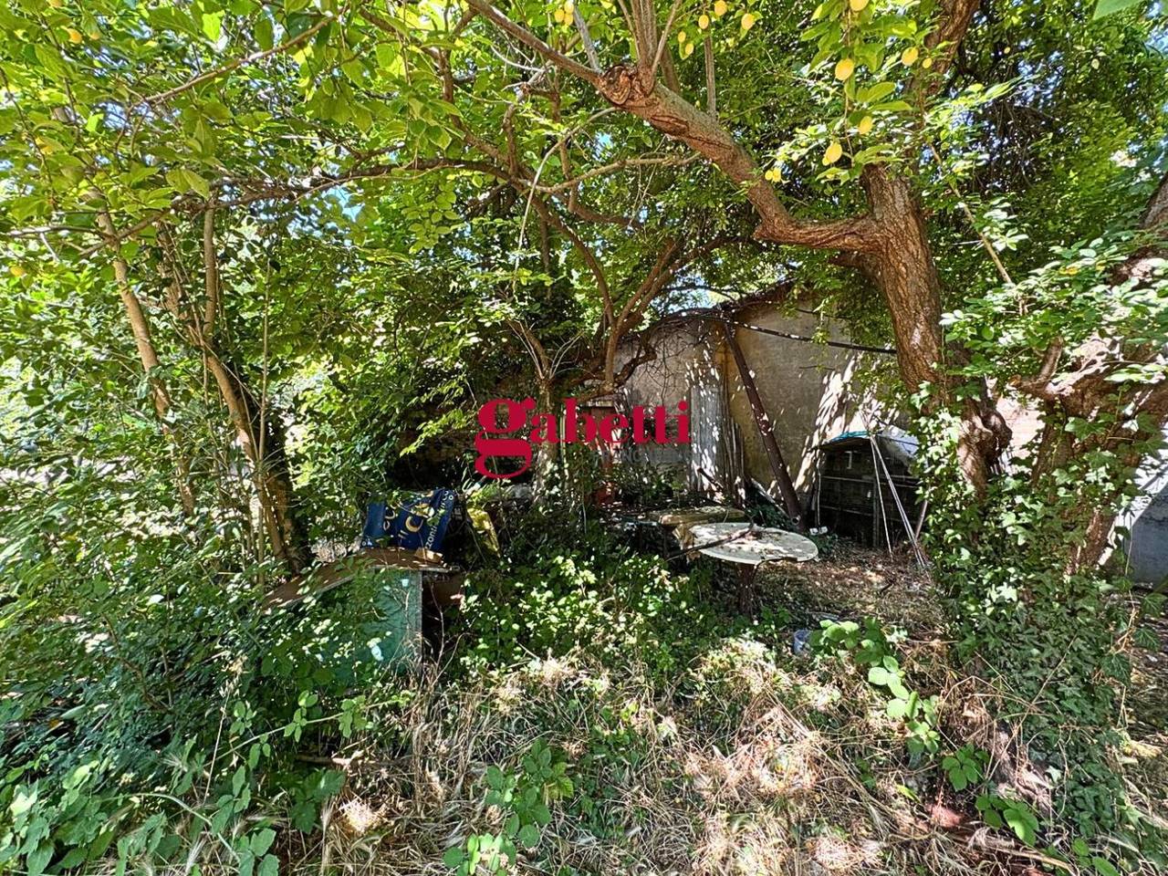 immagine annuncio 8 di 11