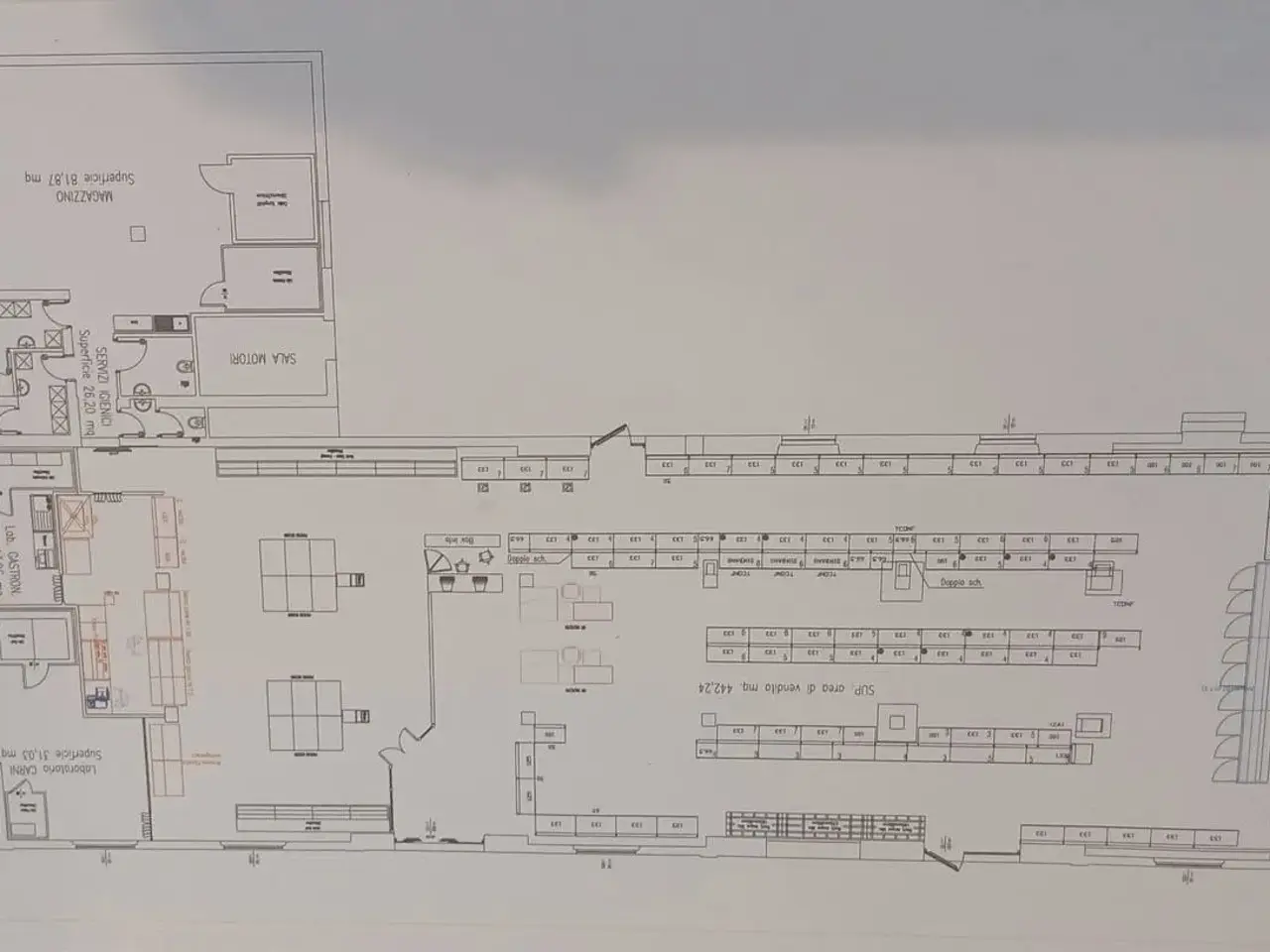 Negozio in Via Fiume  3a, Grosseto, {3} - Planimetria 1
