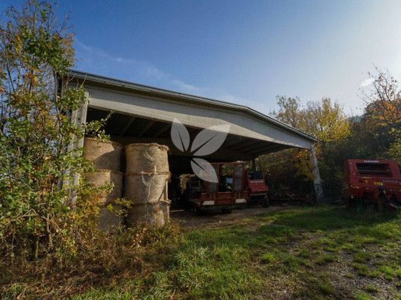 immagine annuncio 4 di 14