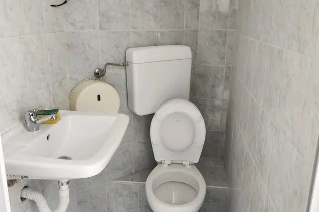 insertion image
