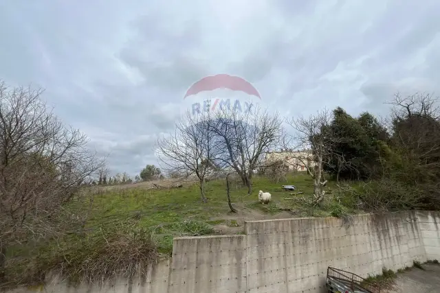 Terreno edificabile in Località Cancelletto, Valentano - Foto 1