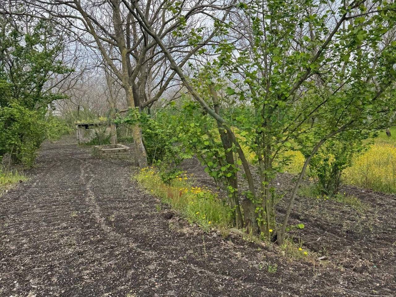 immagine annuncio 1 di 6