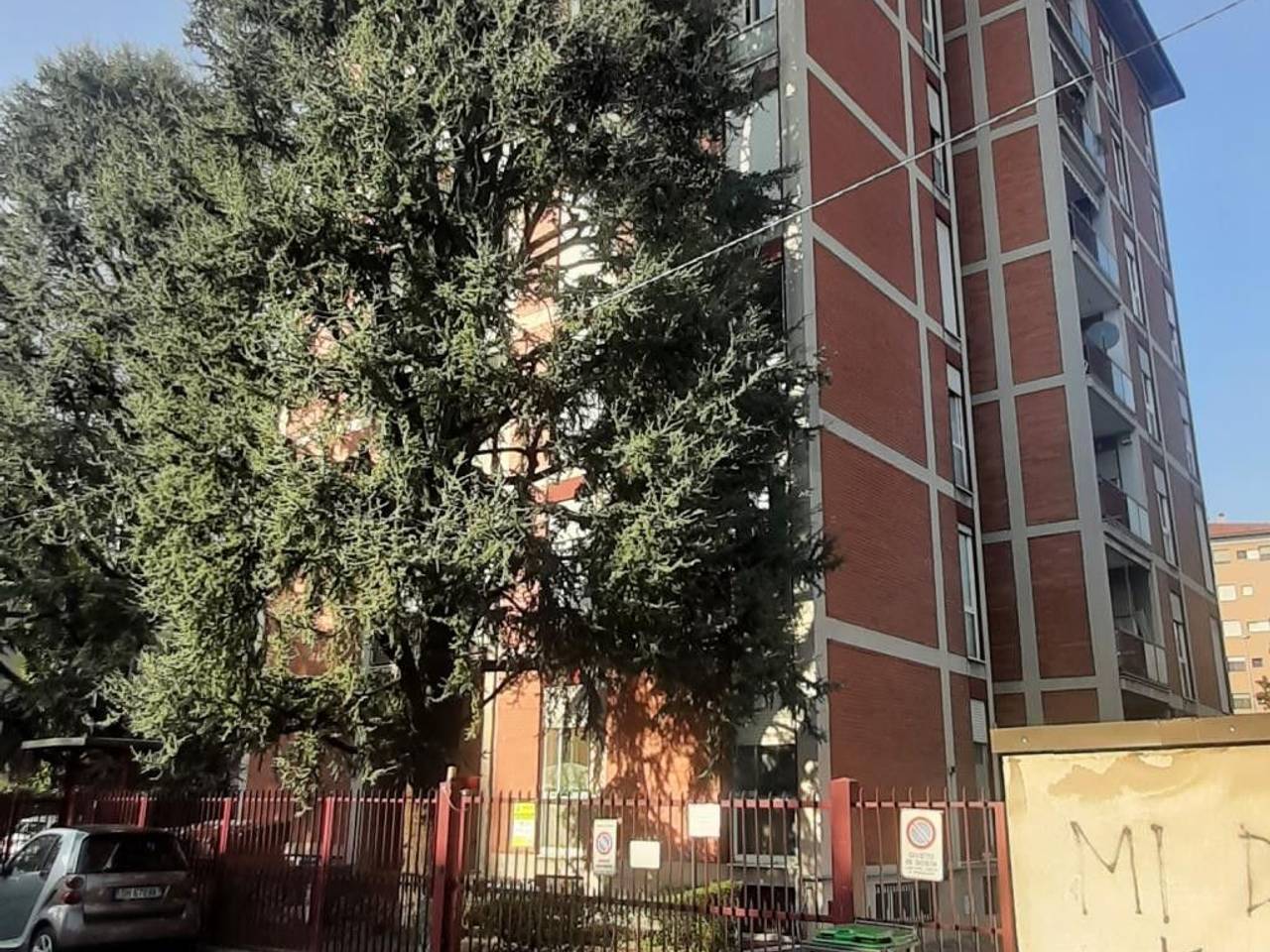 immagine annuncio 3 di 14