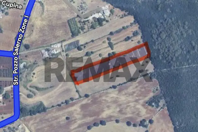 insertion image