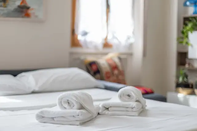 insertion image
