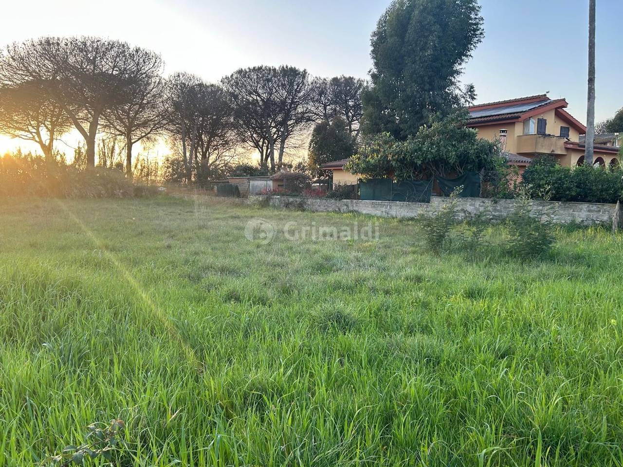 immagine annuncio 6 di 14