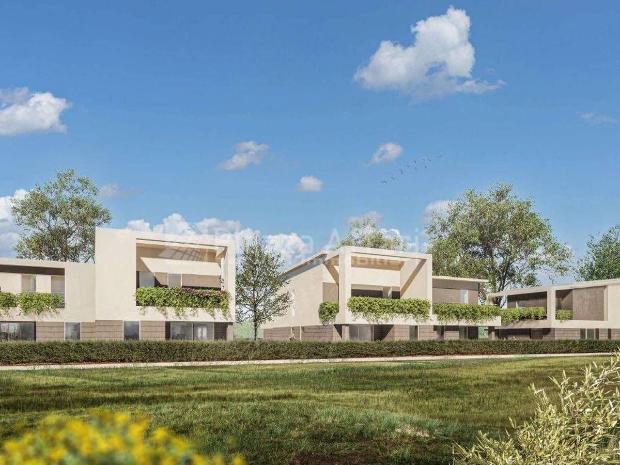 immagine annuncio 1 di 4