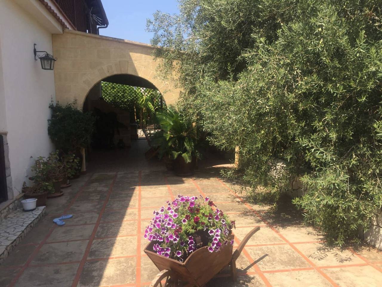 immagine annuncio 9 di 15