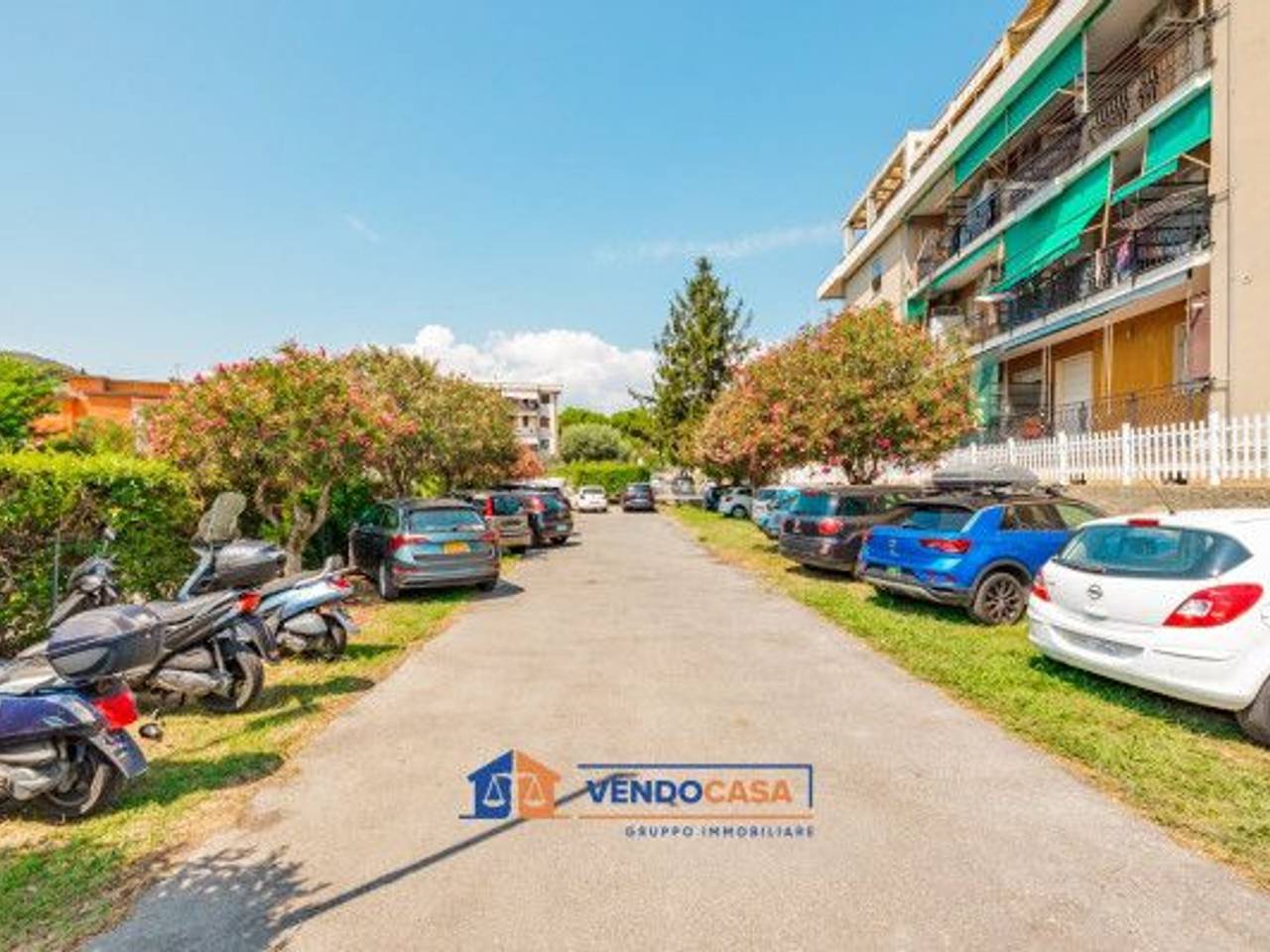 immagine annuncio 12 di 15