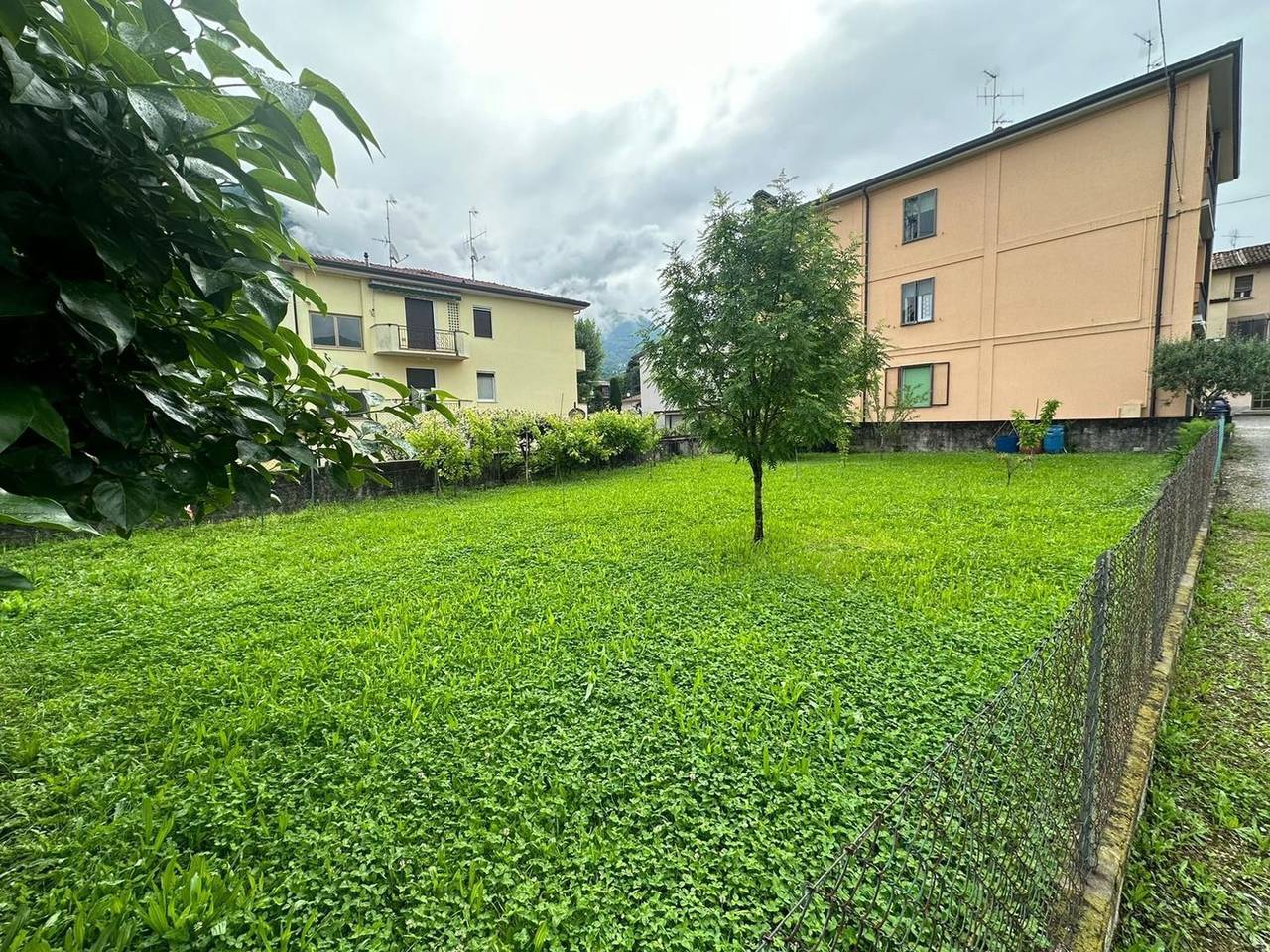 immagine annuncio 3 di 12