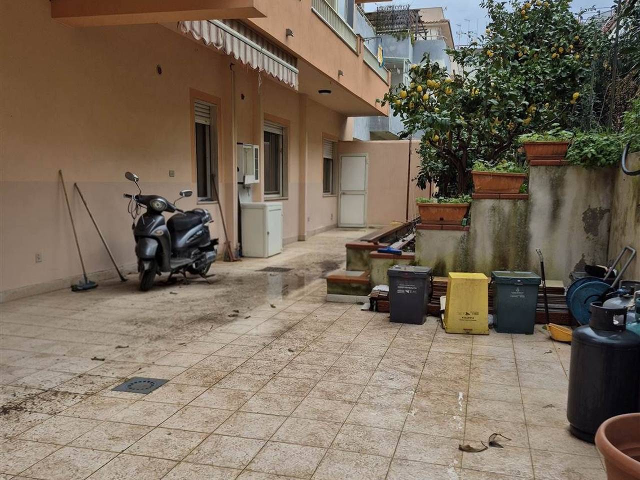 immagine annuncio 10 di 15