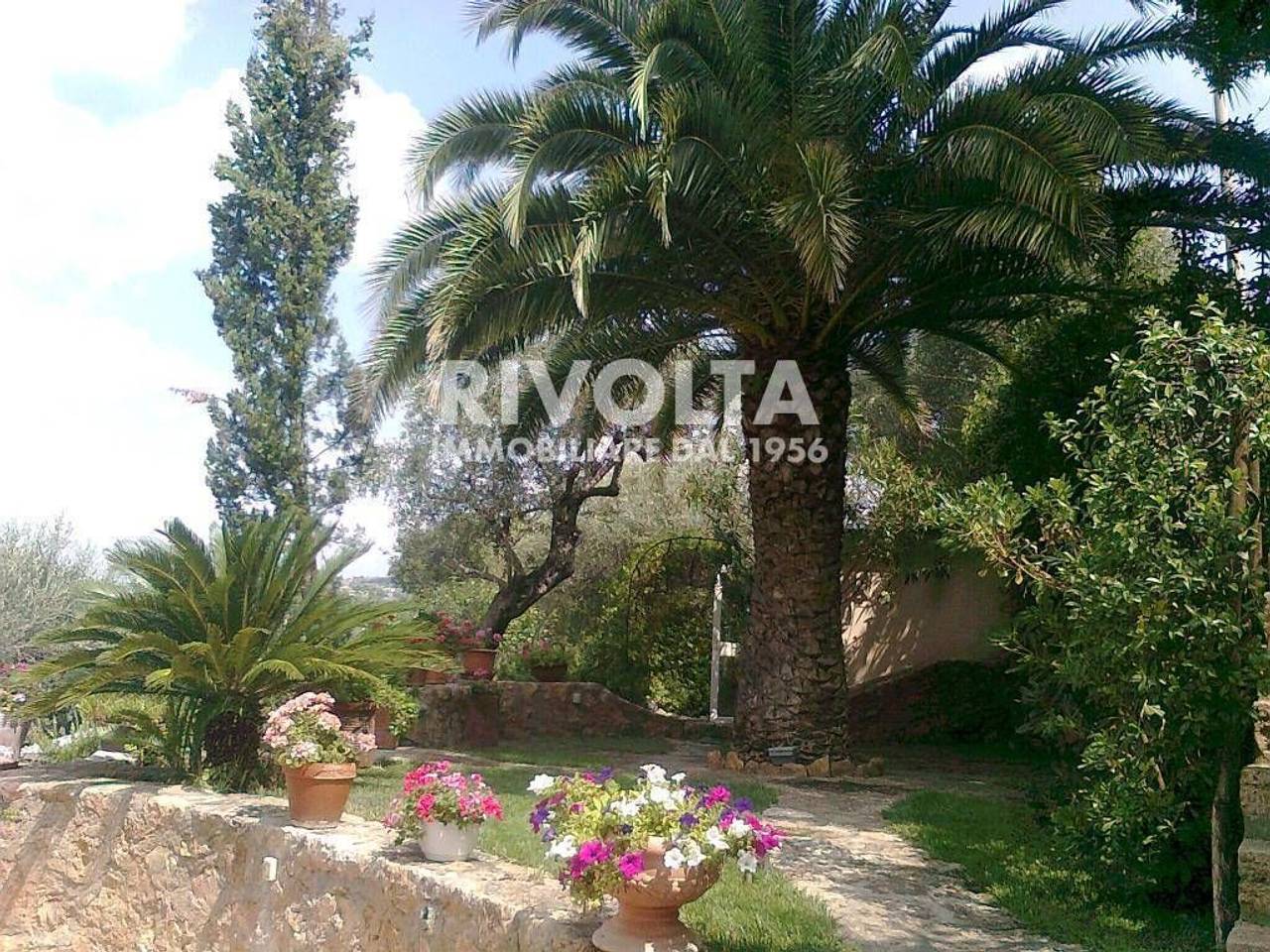 immagine annuncio 9 di 14