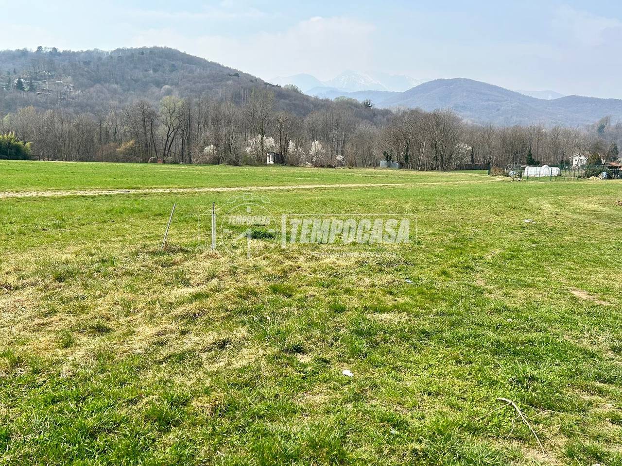 immagine annuncio 6 di 11