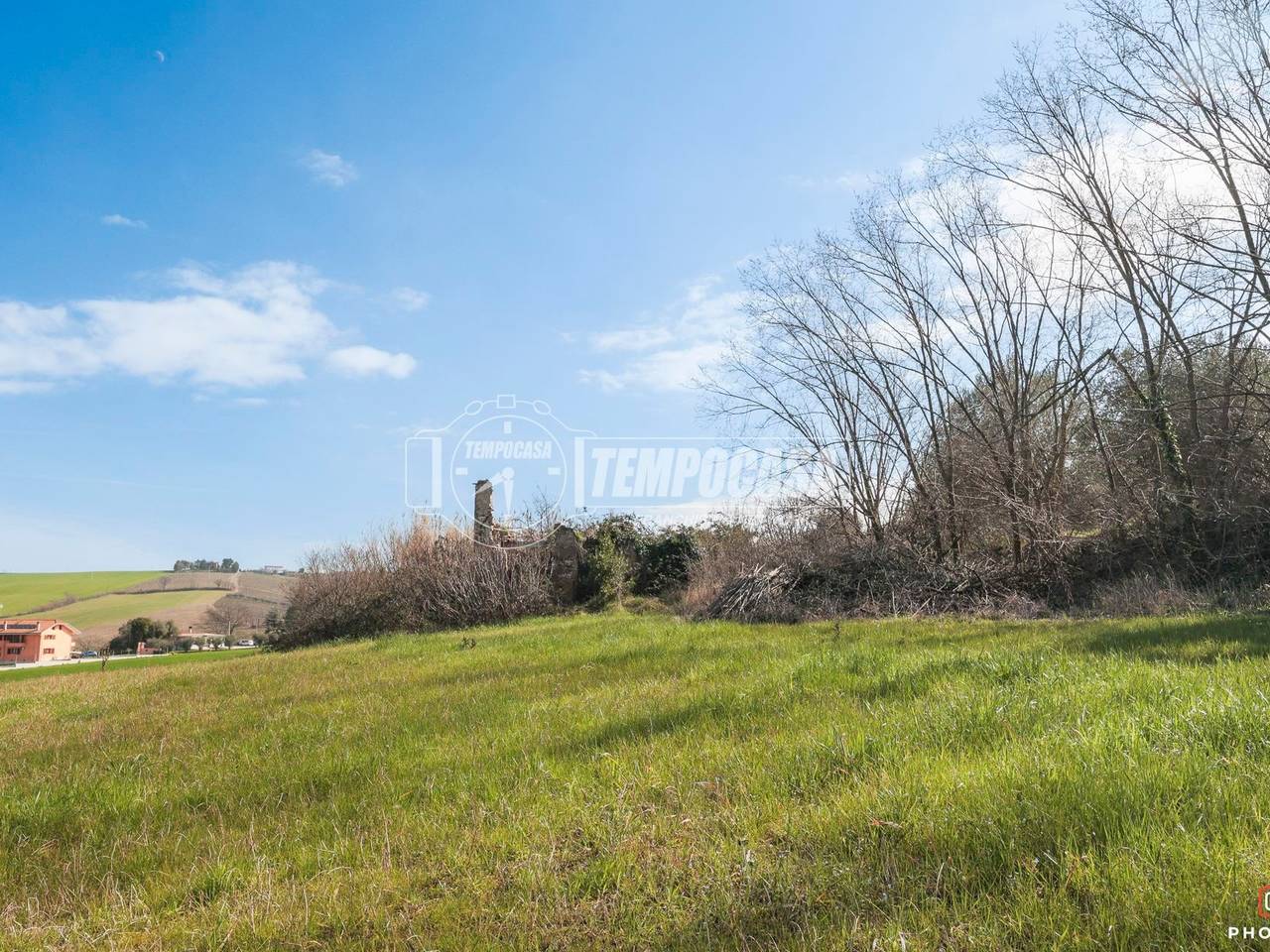 immagine annuncio 4 di 12