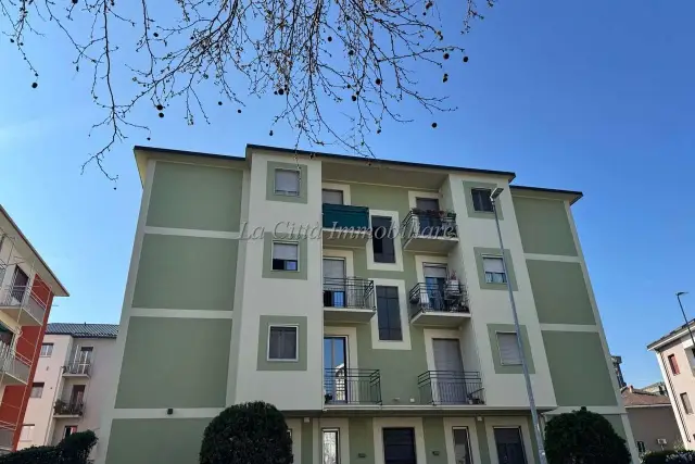 insertion image