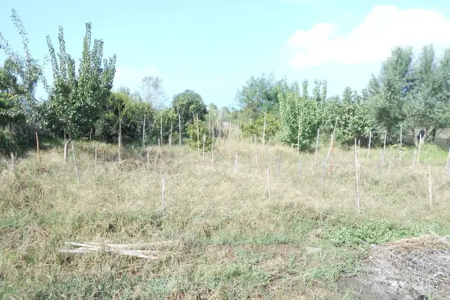 Terreno agricolo in Viale Canosa, Giugliano in Campania - Foto 1