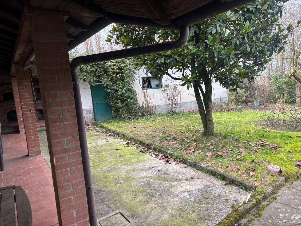 immagine annuncio 6 di 11