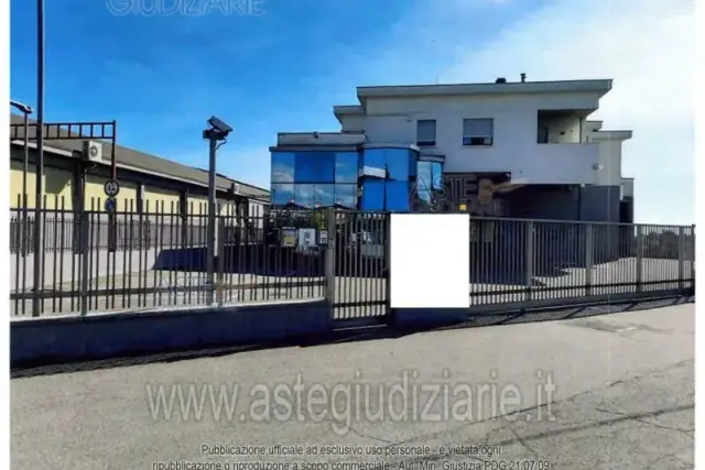 insertion image