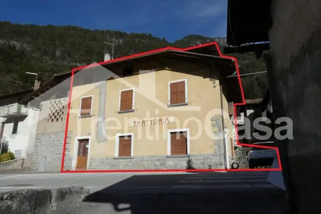 insertion image