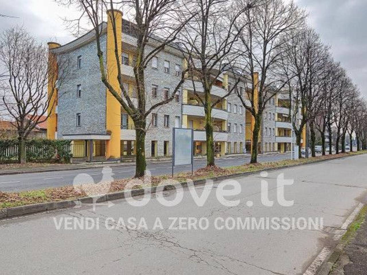 immagine annuncio 1 di 15