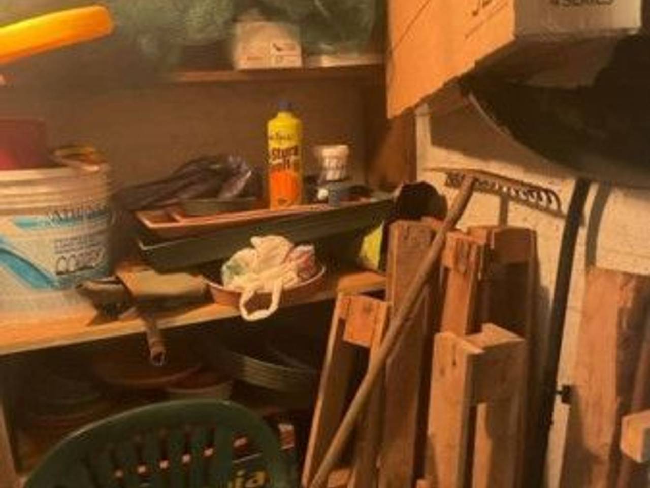 immagine annuncio 13 di 15