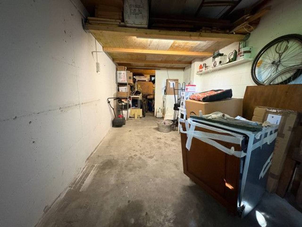 immagine annuncio 11 di 14