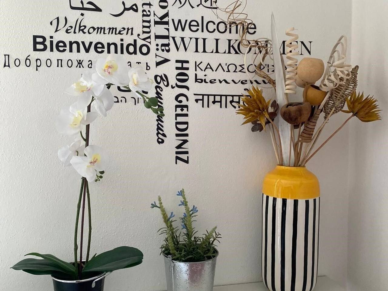 immagine annuncio 8 di 14