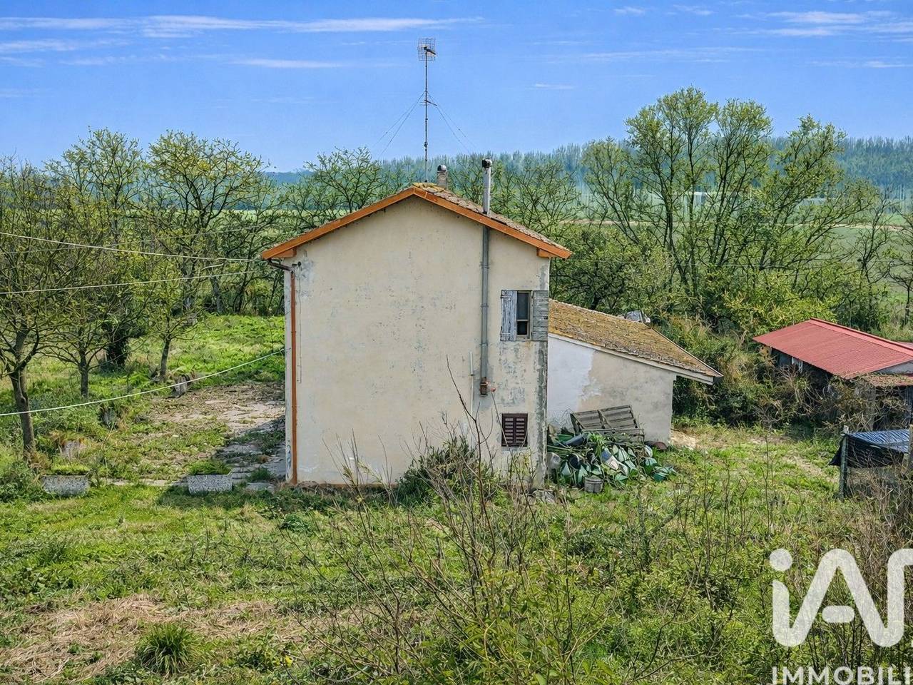 immagine annuncio 10 di 15