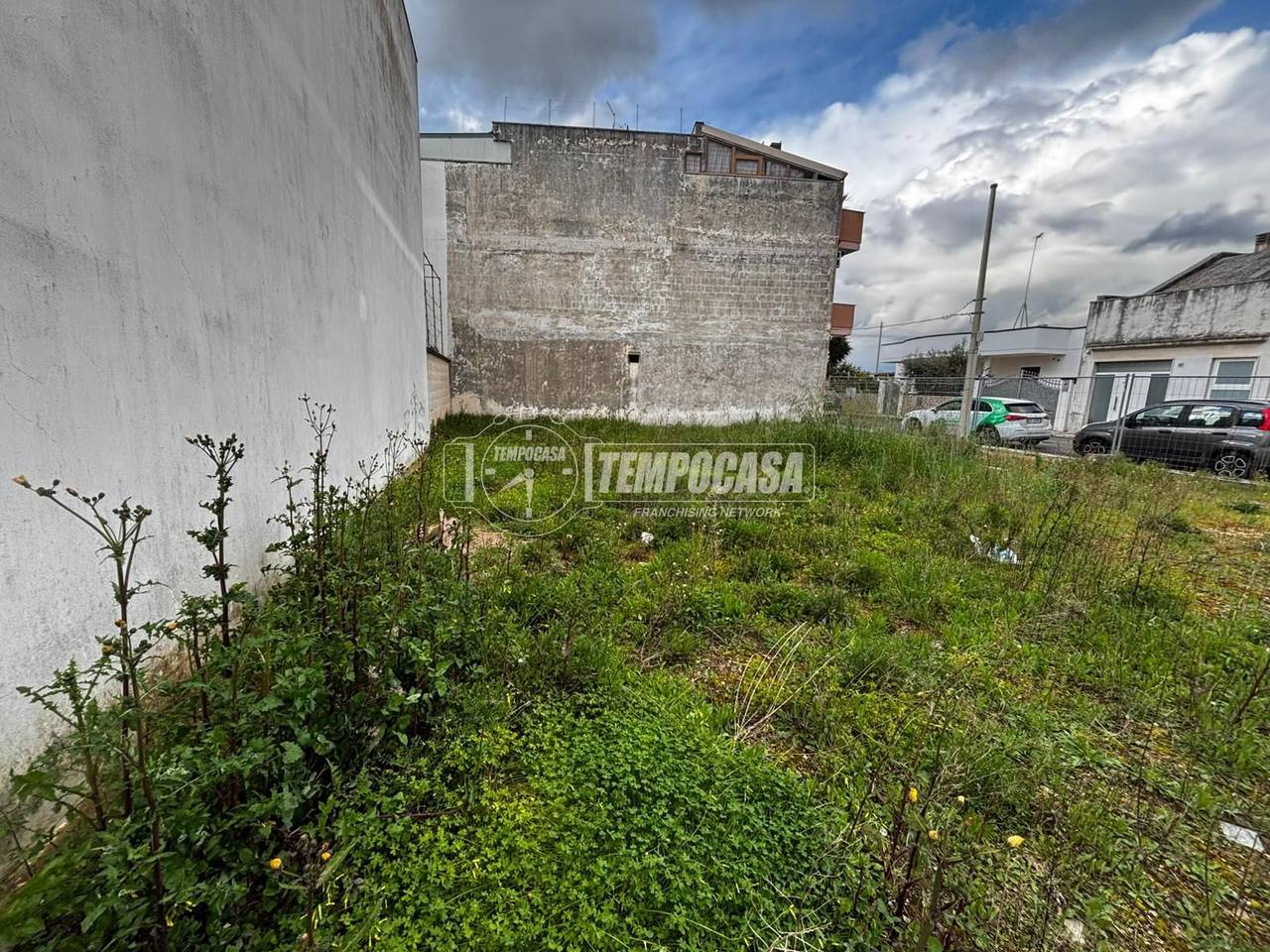 immagine annuncio 2 di 12