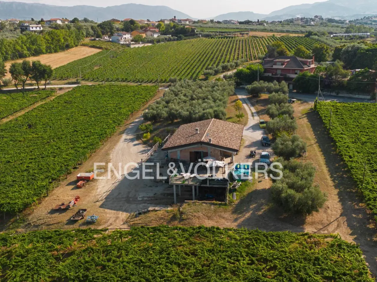 Azienda agricola in Contrada Feudo, Rosciano, {3} - Foto 1