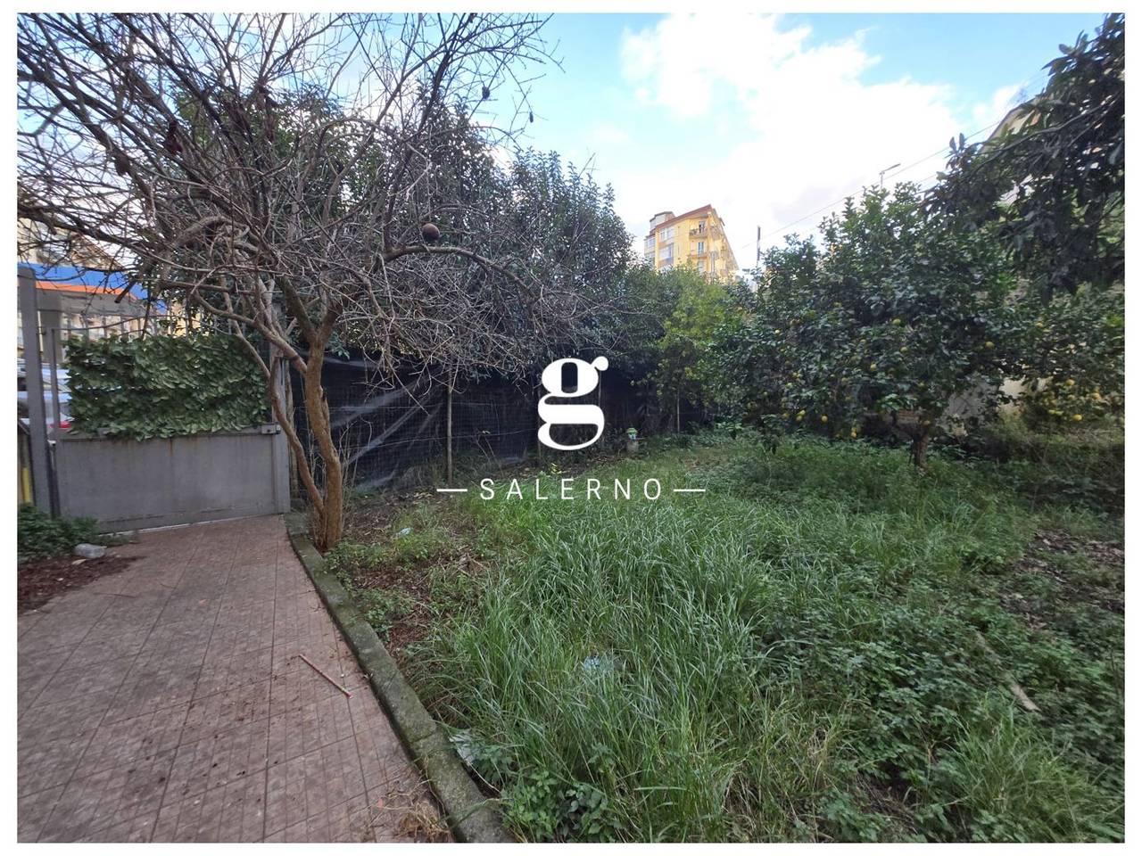 immagine annuncio 1 di 4