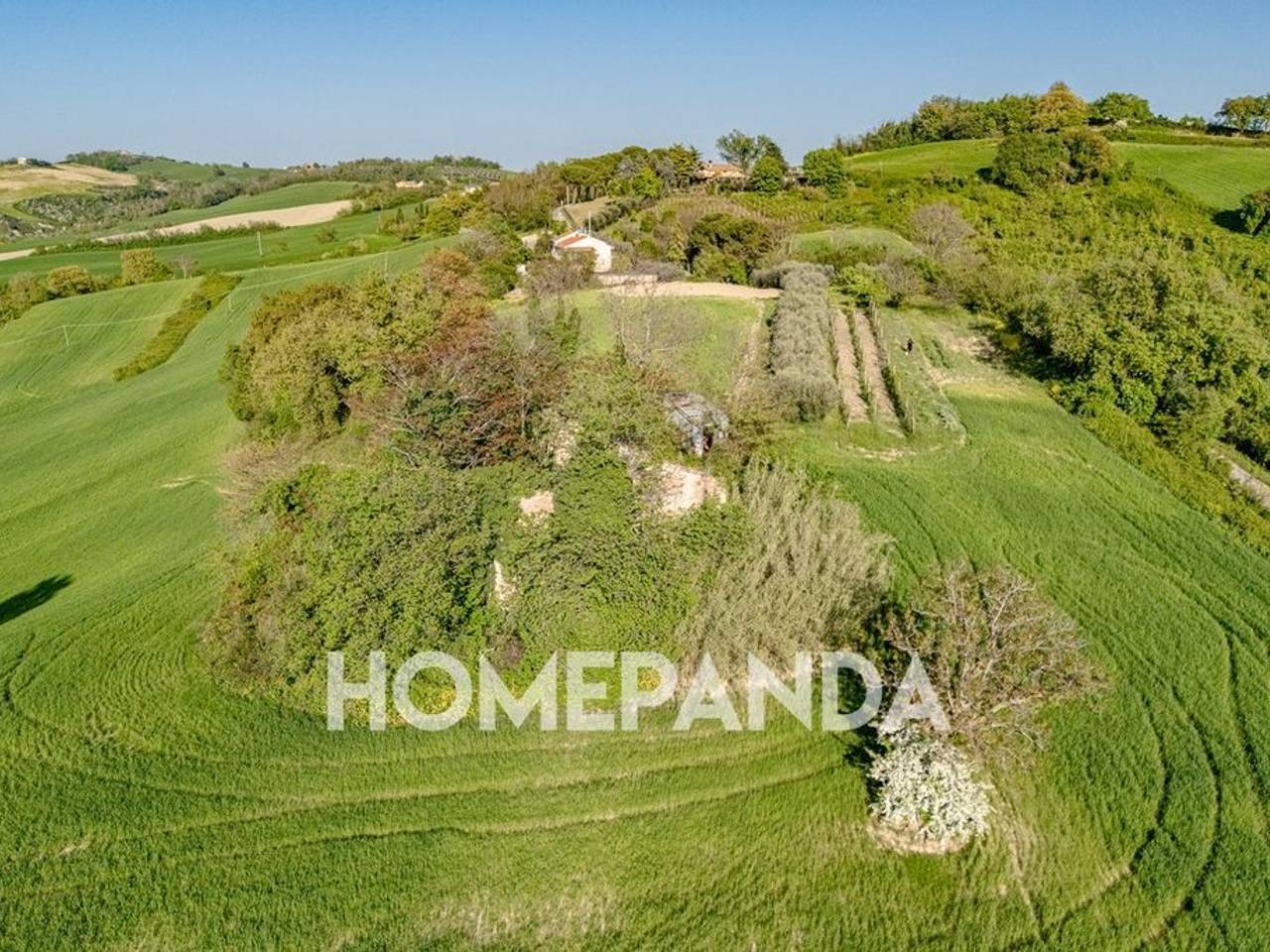 immagine annuncio 2 di 13