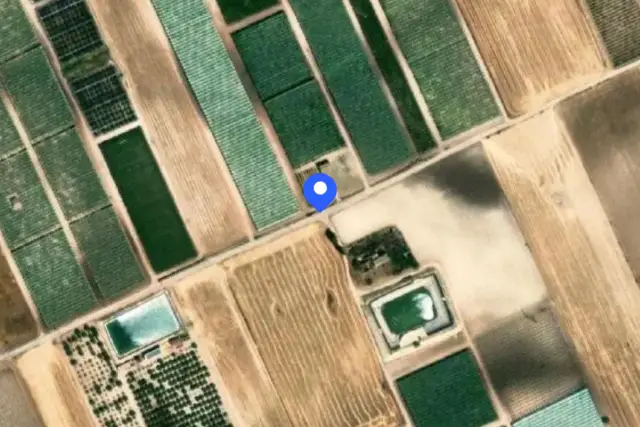 insertion image