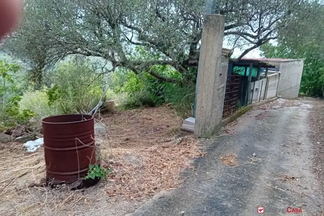 Terreno agricolo in Contrada Grazia, Messina - Foto 1