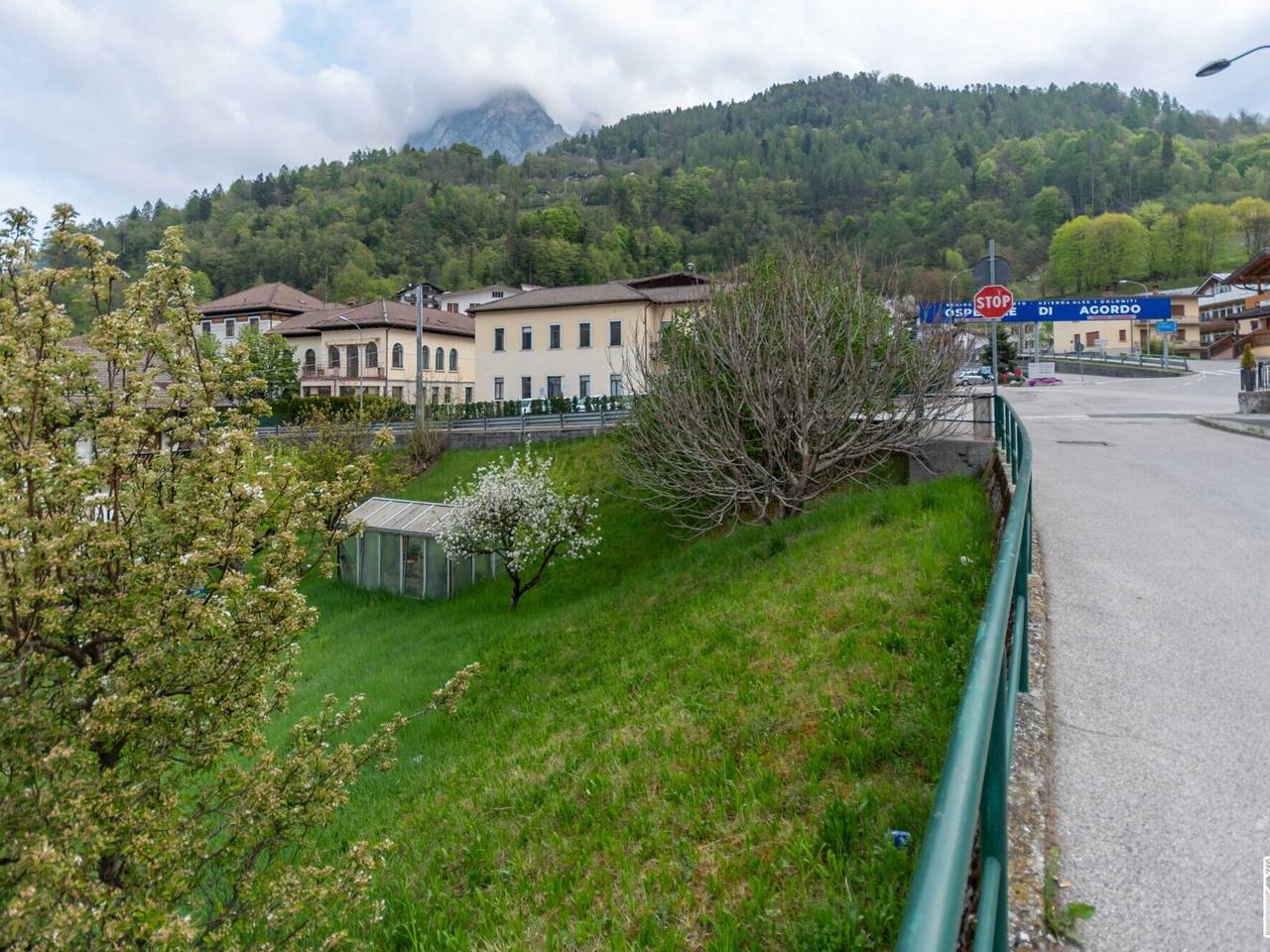 immagine annuncio 6 di 14