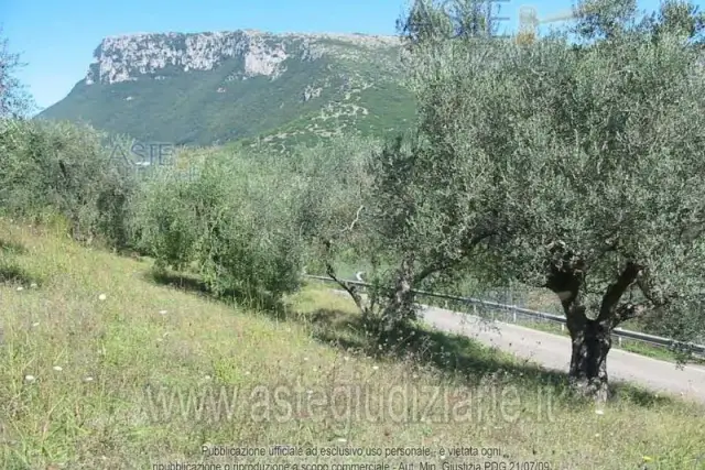 insertion image
