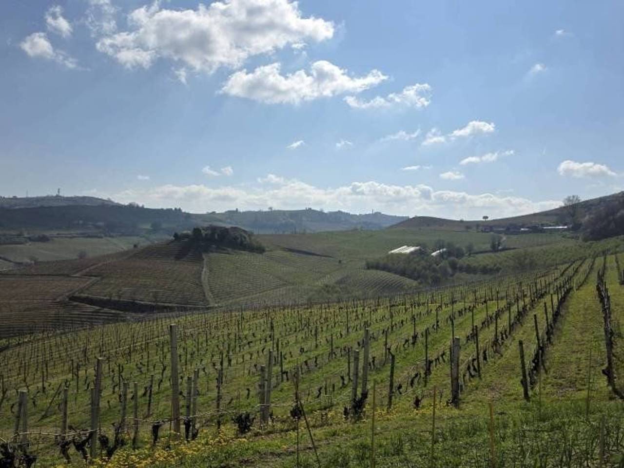 immagine annuncio 14 di 15