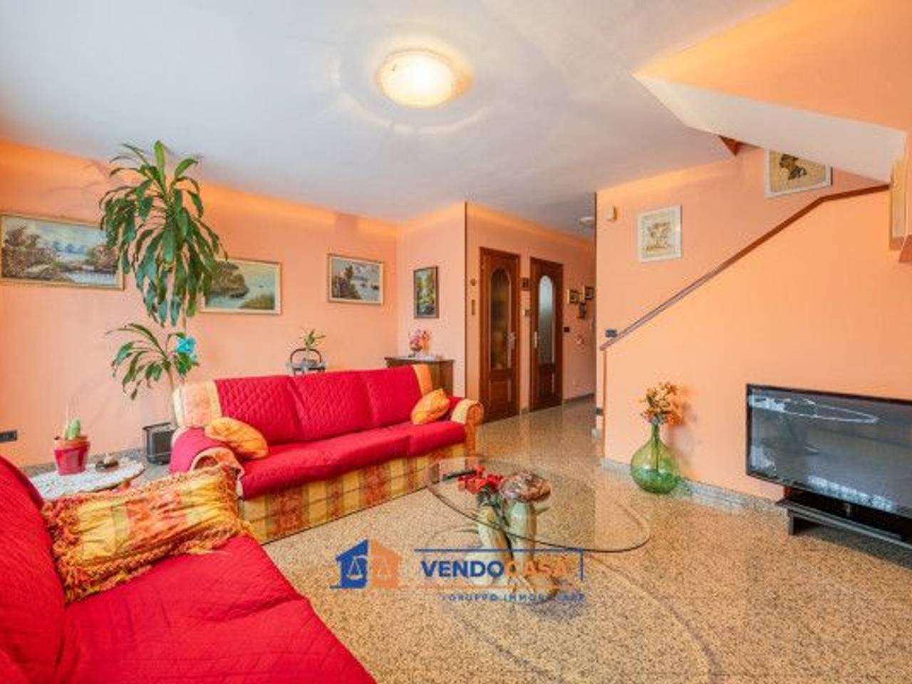 immagine annuncio 11 di 15