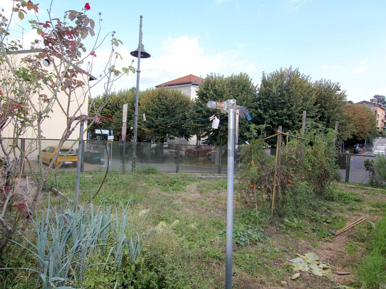 immagine annuncio 9 di 11